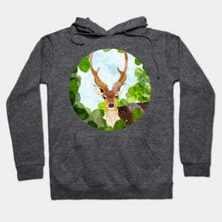 fallow deer Hoodie